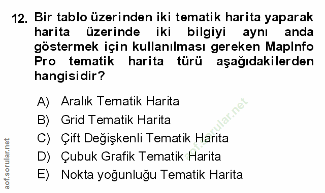 Soru 12