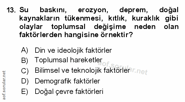 Soru 13