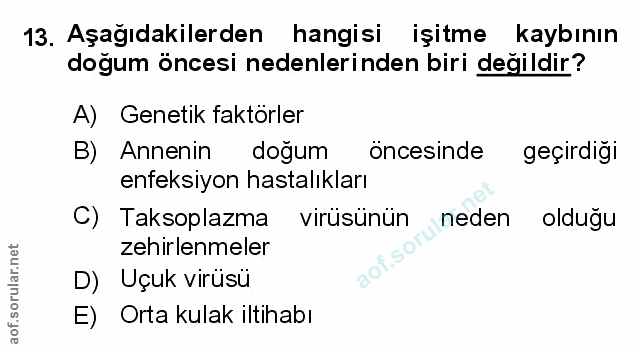 Soru 13