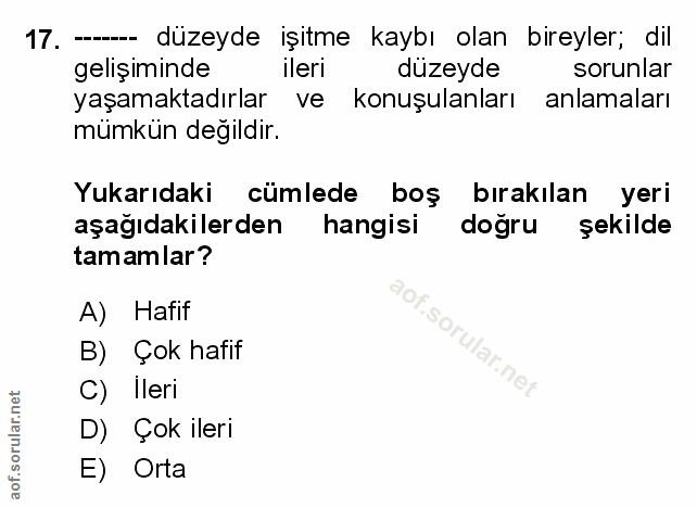 Soru 17