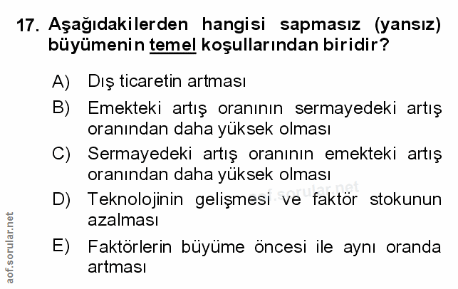 Soru 17