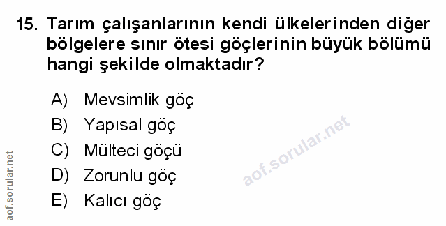 Soru 15
