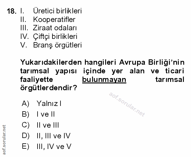 Soru 18