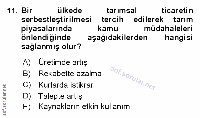Soru 11