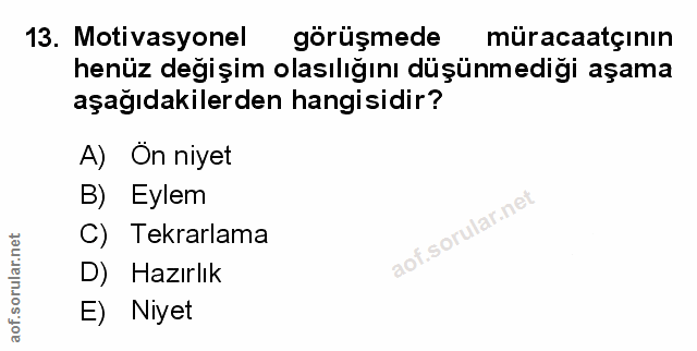 Soru 13