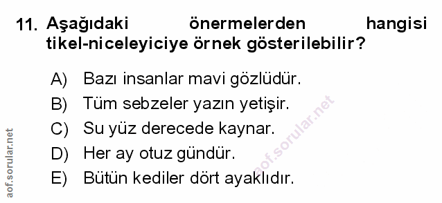 Soru 11