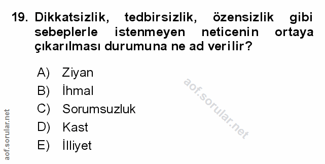 Soru 19