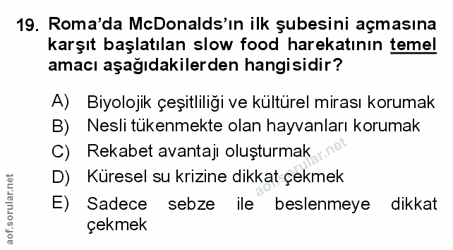 Soru 19