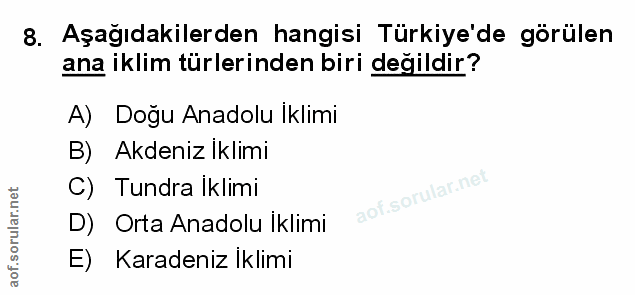 Soru 8