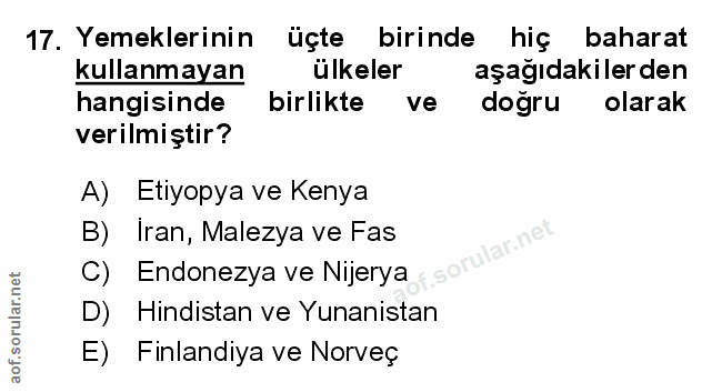 Soru 17