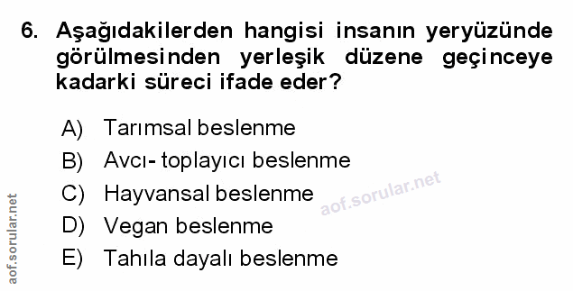 Soru 6