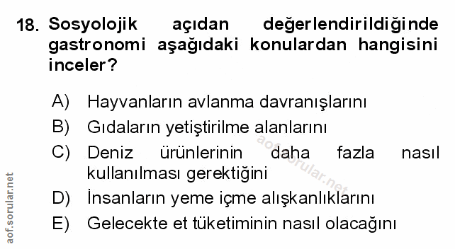 Soru 18