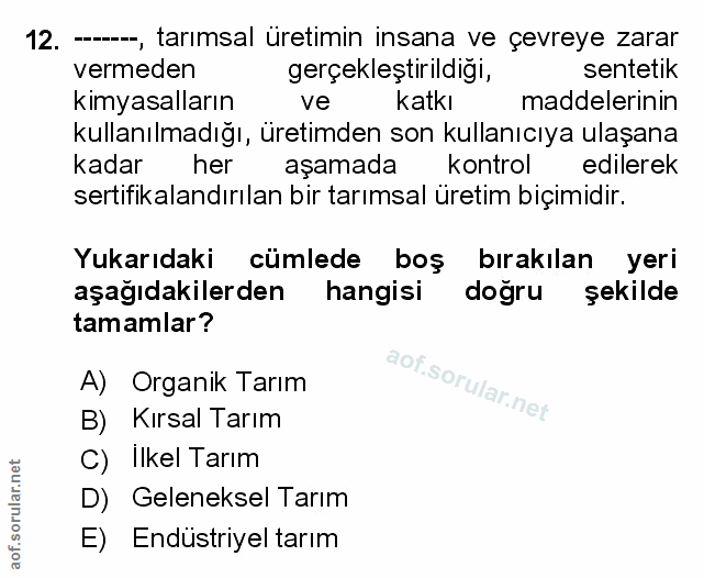 Soru 12