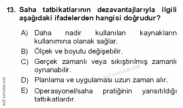 Soru 13