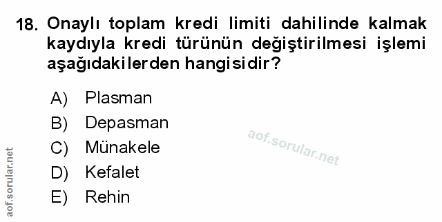 Soru 18