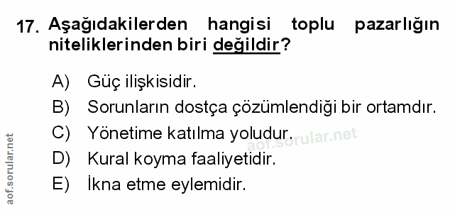 Soru 17