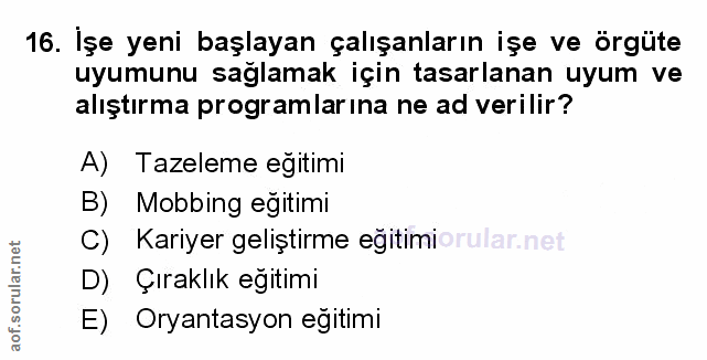 Soru 16