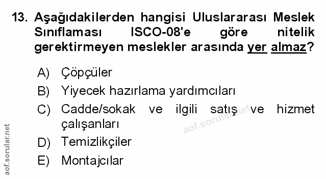 Soru 13