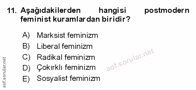 Soru 11