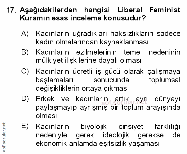 Soru 17