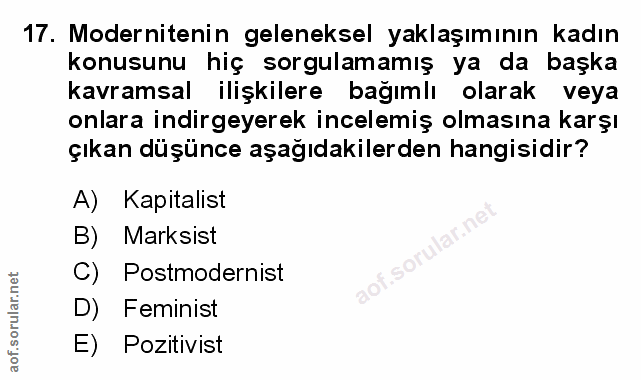 Soru 17
