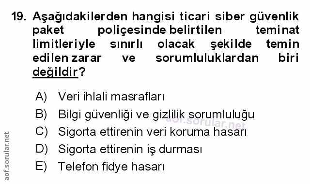 Soru 19