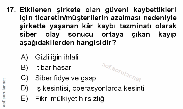 Soru 17
