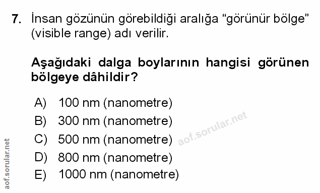Soru 7