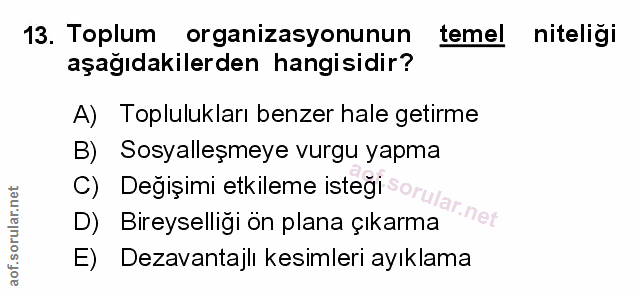 Soru 13
