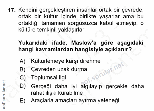 Soru 17