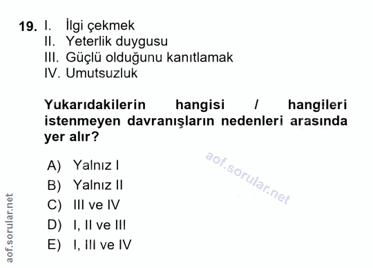 Soru 19