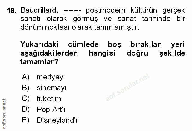 Soru 18