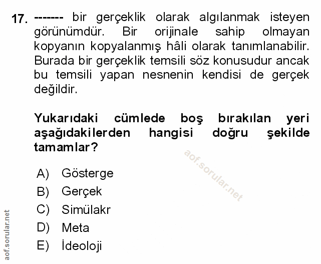 Soru 17