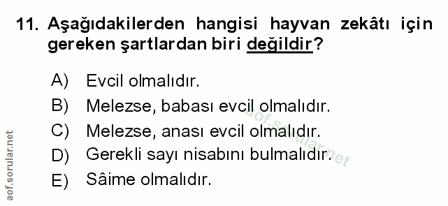 Soru 11