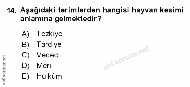 Soru 14