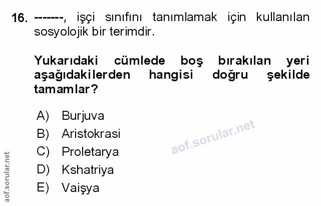 Soru 16