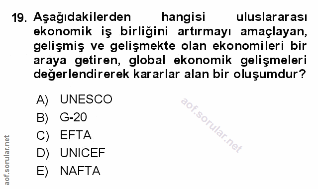 Soru 19