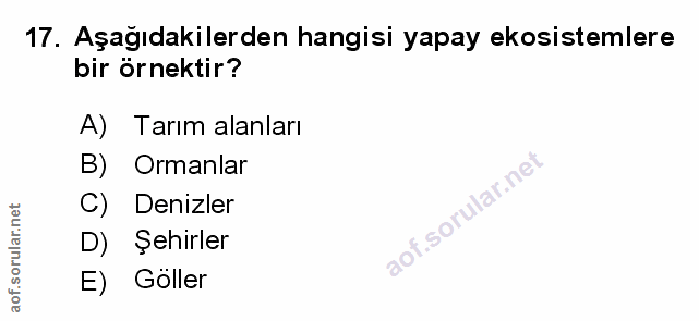 Soru 17