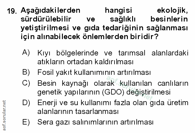 Soru 19