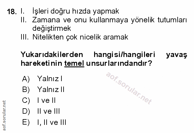 Soru 18