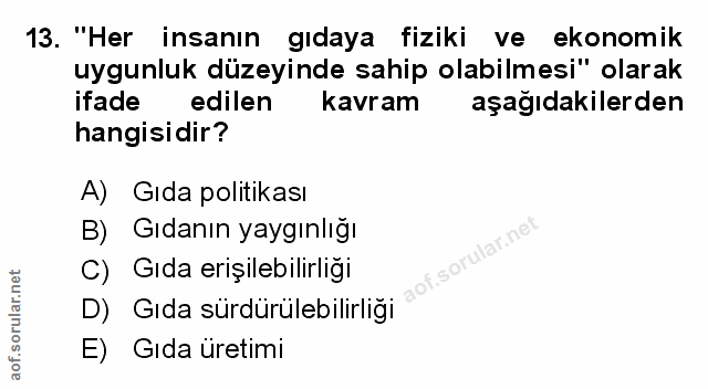 Soru 13