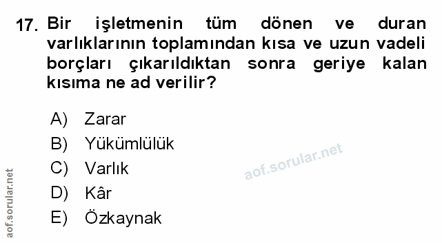 Soru 17