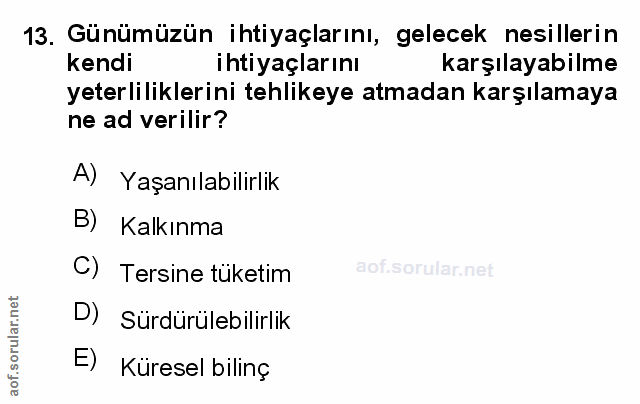 Soru 13