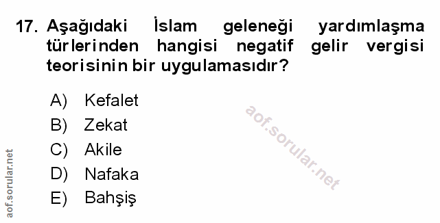 Soru 17