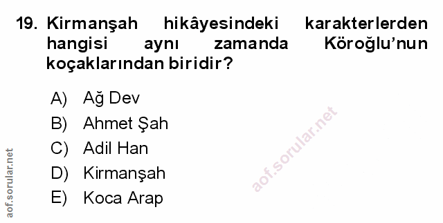 Soru 19