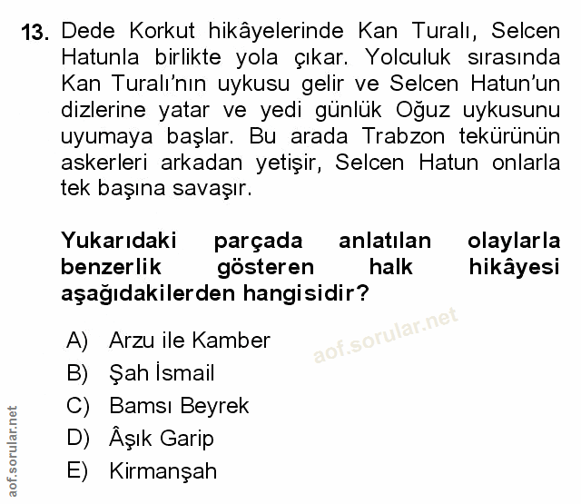 Soru 13
