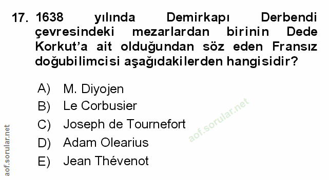 Soru 17