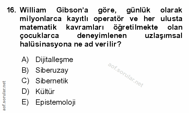 Soru 16