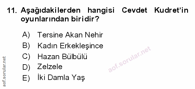 Soru 11