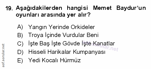 Soru 19